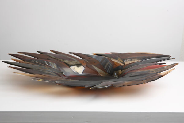 Feather(picture 11)